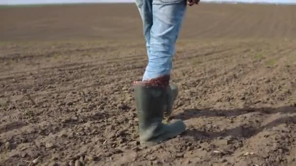 Ινδιάνος Αγρότης Περπατά Στο Χωράφι Του Πριν Μεγαλώσει Ένα Σιτάρι — Αρχείο Βίντεο