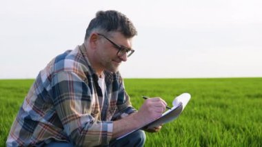 Kıdemli çiftçi büyüyen buğday tarlasında oturuyor. Başarılı bir tohum ektikten sonra ekinleri inceliyor..