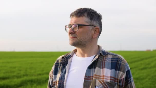 シニア農家は彼の成長する小麦畑に立っている 播種に成功した後に満足している — ストック動画