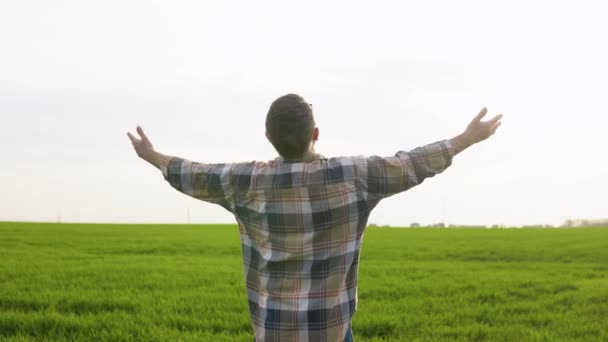 空を見ている上級農家と彼の手を上げますお祝いの成功で小麦フィールド — ストック動画