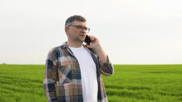 Старший Фермер Поданій Експертизі Пшениці Ростуть Розмовляють Телефону — стокове відео
