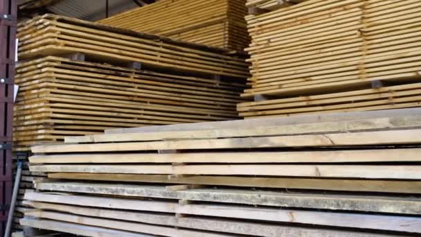 Stock Fábrica Madera Tablero Madera Con Exportación Negocios Naturaleza — Vídeos de Stock