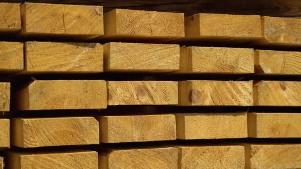 Stapeln Von Holznieten Industrielle Holz Holz Holz Texturen — Stockvideo