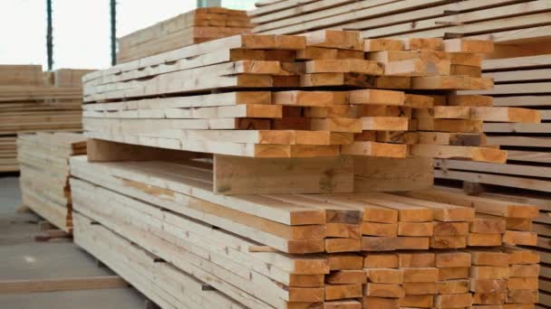 Frische Holzplatten Holzlager — Stockvideo