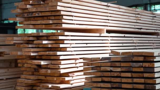 Čerstvé Dřevěné Desky Skladu Dřeva — Stock video