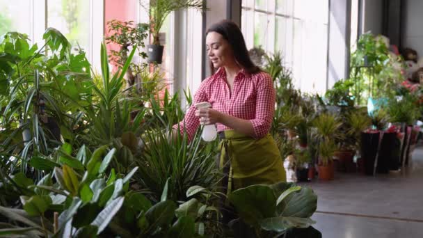 Çiçekçide Yeşil Saksıyı Sulayan Gülümseyen Kadının Yan Görüntüsü Seradaki Çeşitli — Stok video