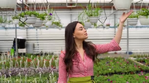Kvinnliga Blomsterhandlare Går Växthus — Stockvideo