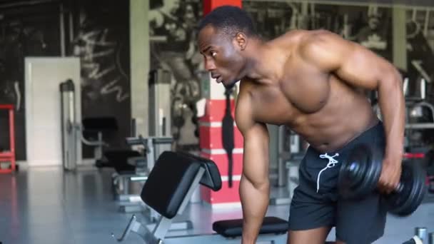 动感的非洲裔美国人赤身裸体健美运动员在现代体育馆用哑铃训练手臂和背部肌肉 黑人年轻人在他的二头肌上干活 用一只手提起杠铃 — 图库视频影像