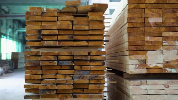 Træplader Tømmer Industritræ Træ Træ Fyrretræ – Stock-video