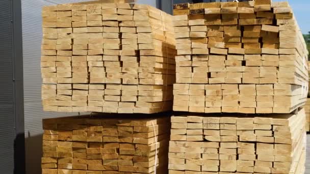 Tahta Kereste Endüstriyel Odun Kereste Çam Ağacı Kerestesi — Stok video