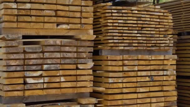 Holzplatten Einem Baustofflager — Stockvideo