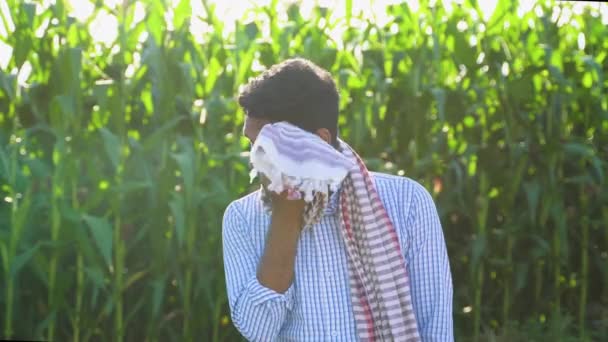 Уставший Индийский Фермер Кукурузном Поле — стоковое видео