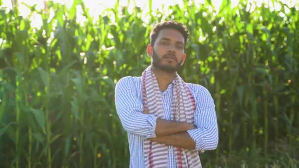 Індійський Фермер Стоїть Перед Кукурудзяним Полем Схрещеними Руками — стокове відео