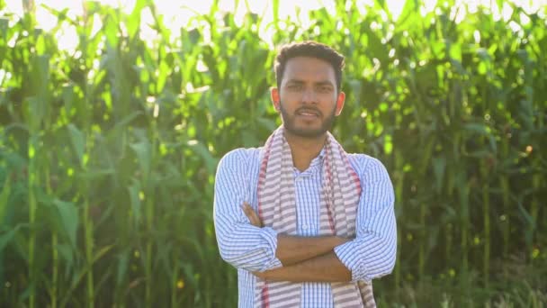 Портрет Індійського Фермера Кукурудзяному Полі — стокове відео