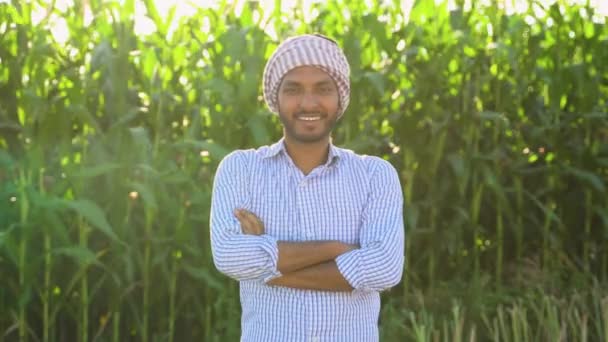 Portret Indyjskiego Rolnika Polu Kukurydzy — Wideo stockowe