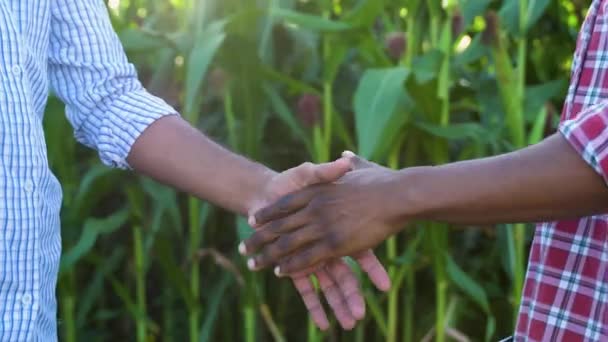 Ludzie Ściskający Dłonie Polu Zielonymi Roślinami Liśćmi Okazujący Przyjaźń Współpracę — Wideo stockowe