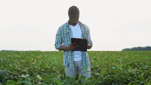 Agricultor Negro Campo Soja Escrevendo Uma Área Transferência Verificando Qualidade — Vídeo de Stock