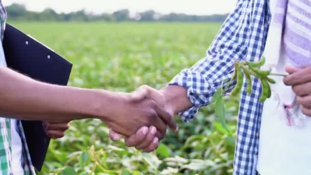 Menschen Beim Händeschütteln Einem Maisfeld Aus Nächster Nähe — Stockvideo