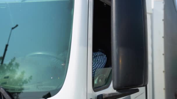 Індійський Водій Вантажівки Сидить Своїй Вантажівці Транспортні Послуги — стокове відео