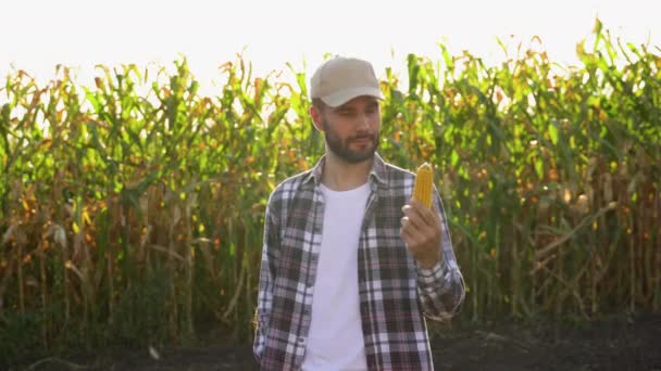 农夫手里拿着玉米在田里 — 图库视频影像