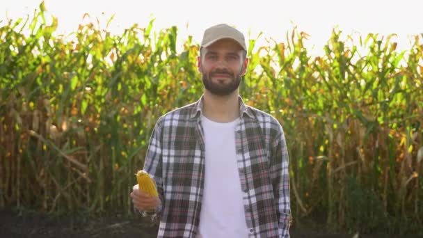 Портрет Молодого Фермера Агронома Стоїть Кукурудзяному Полі — стокове відео
