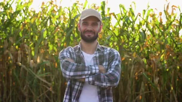 Kukoricamezőn Álló Fiatal Mezőgazdasági Termelő Portréja — Stock videók