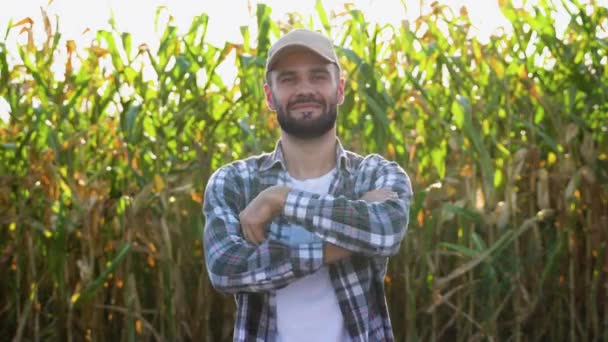 Jeune Agriculteur Caucasien Champ Maïs — Video