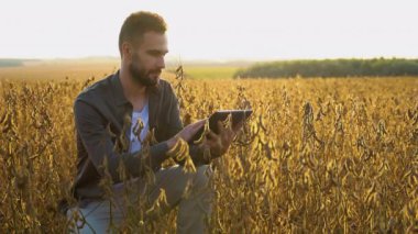 Çiftçi tarım uzmanı tarlada tabletle büyüyen soya fasulyesini inceliyor. Tarım üretim kavramı.