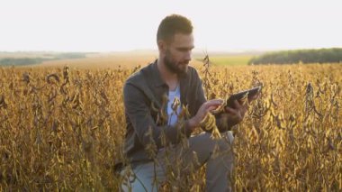 Çiftçi dijital tabletli bir soya fasulyesi çiftliğinde çalışıyor..