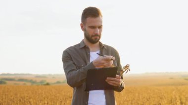 Tarımcı ya da çiftçi soya fasulyesi tarlasını inceliyor.