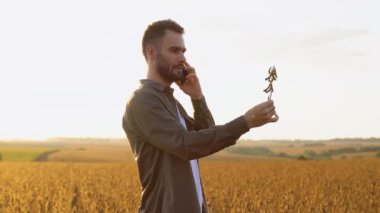 Soya tarlasında dikilen genç çiftçi hasat öncesi mahsulleri kontrol ediyor ve telefonda konuşuyor..