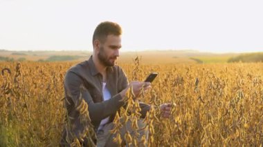 Soya fasulyesi çiftliğinin fotoğraflarını çeken çiftçi. Kalite denetimi.