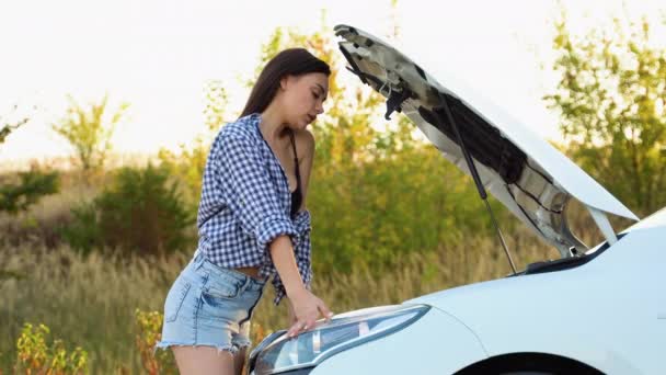 Młoda Kobieta Czeka Pomoc Pobliżu Jej Samochodów Podziałem Poboczu — Wideo stockowe