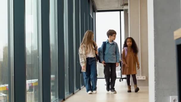 学校の廊下を歩くハッピー多様な多民族児童中学生グループ — ストック動画