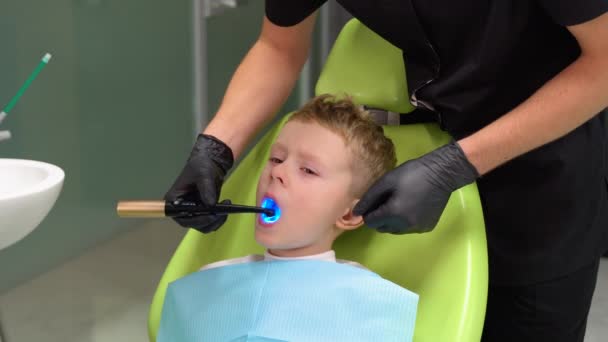 歯科歯科治療コンセプト ブルーホワイトニングランプで動作する歯科矯正歯科医 — ストック動画