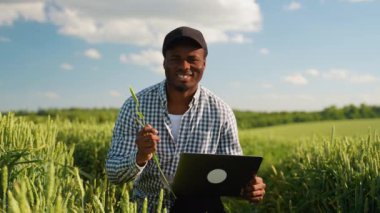 Buğday tarlasında dizüstü bilgisayarlı Afro-Amerikan çiftçi portresi. Akıllı tarım konsepti. Tarım, iş ve kırsal konsept