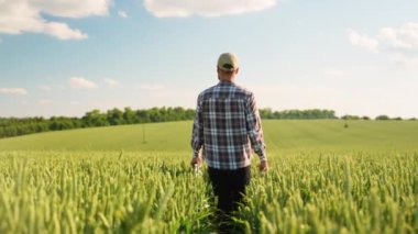 Bir çiftçi buğday tarlasında yürüyor. Tarım, bahçıvanlık veya ekoloji kavramı