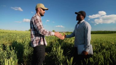 Gün batımında buğday tarlasının arka planında iki çiftçiyle tokalaş. Tarım sektörü kavramı
