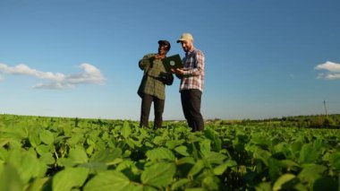 İki çok ırklı tarım uzmanı soya fasulyesi hasadı ve mahsulünü tartışıyor. Tarım sektörü kavramı