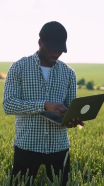 Ekinleri inceleyen çiftçi buğday yetiştirme alanında başarılı olduktan sonra. Akıllı tarım konsepti. Tarım, iş ve kırsal konsept