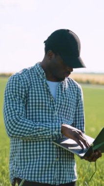 Ekinleri inceleyen çiftçi buğday yetiştirme alanında başarılı olduktan sonra. Akıllı tarım konsepti. Tarım, iş ve kırsal konsept