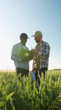 İki çiftçi buğday tarlasında duruyor, hasat ve ekinleri tartışıyorlar. Tarım sektörü kavramı