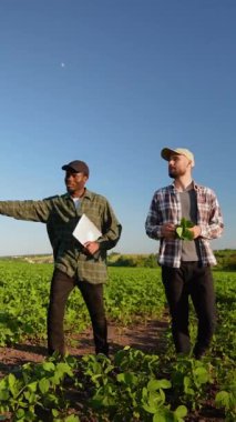 Soya tarlasında yürüyen iki farklı çiftçi hasat ve ekinleri tartışıyor. Tarım sektörü kavramı