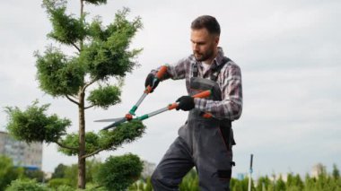 Bahçıvanlardan biri bahçe merkezindeki dekoratif bir ağacı budamak için budama makası kullanıyor. Kesikler, ağacın sağlıklı büyümesini ve estetik çekiciliğini güvence altına alarak ağacın şekillenmesine yardımcı oluyor.