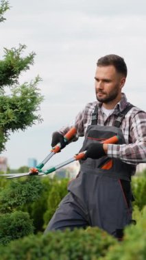 Profesyonel bir bahçıvan çocuk odasındaki dekoratif ağaçları budamak ve şekillendirmek için budama makası kullanır. Detaylara olan ilgisi ağaçlara estetik cazibe ve sağlık sağlar ve onları satışa hazırlar.