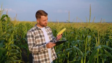 Mısır tarlasında bir çiftçi mısır ve pano kulağını tutar, mahsulün kalitesini inceler ve başarılı bir hasat ve mahsul sağlığı için notlar alır.