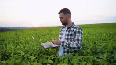 Gün batımında bir çiftçi soya fasulyesi tarlasında dizüstü bilgisayarını tutuyor ve bitkileri inceliyor. Ürün sağlığını izlemek ve hasat için teknolojiyi kullanıyor.