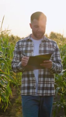 Bir çiftçi elinde bir pano tutarken gün batımının altın ışığında mısır bitkilerini inceler, ekin sağlığını değerlendirir ve tarım uygulamalarını optimize etmek için notlar alır.