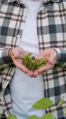 Bir çiftçi elinde soya fasulyesi yapraklarını dikkatlice tutarak tarladaki mahsul sağlığını inceleyerek sürdürülebilirliğin ve dikkatli tarımın önemini vurguluyor.