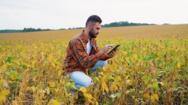 Modern bir çiftçi, ürün verilerini izlemek ve tarım faaliyetlerini planlamak için bir tablet kullanarak verimli bir soya tarlasında diz çöker.